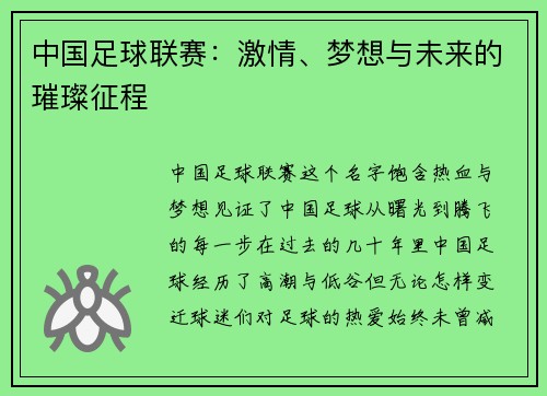 中国足球联赛：激情、梦想与未来的璀璨征程